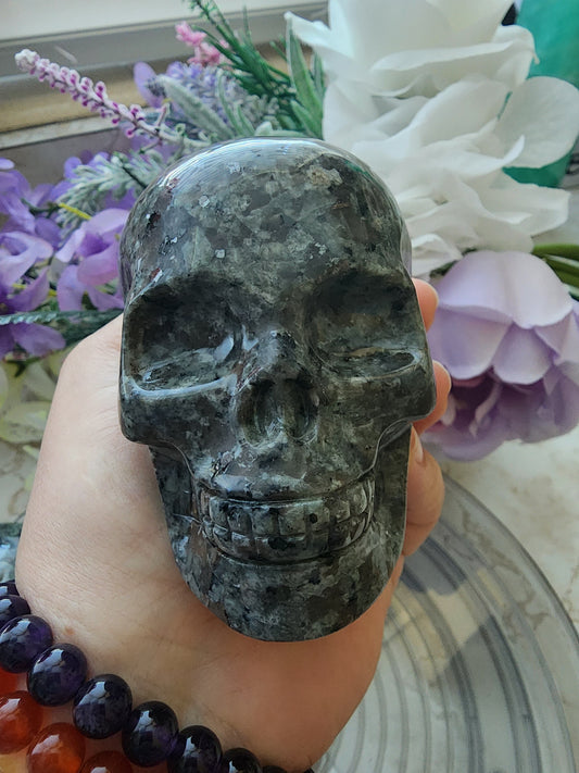 LARGE SKULLS